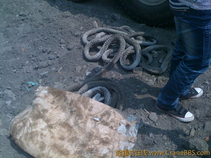 手机照片 2974.jpg