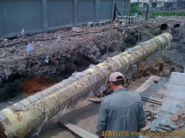 手机照片 2954.jpg