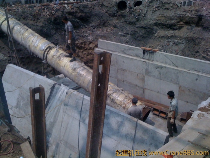 手机照片 2955.jpg