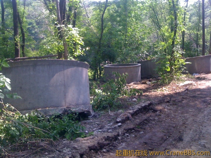 手机照片 2981.jpg