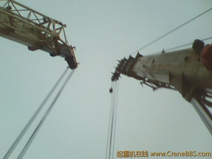IMG0536A.jpg
