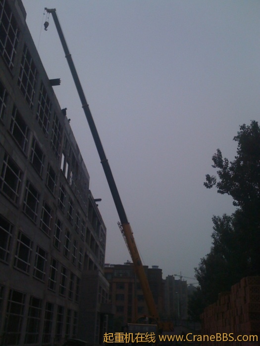 手机照片 2991.jpg