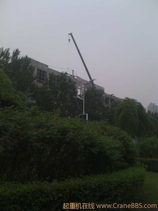 手机照片 2993.jpg