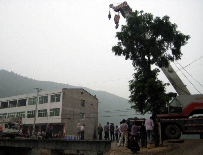 调整大小 IMG_6060.JPG