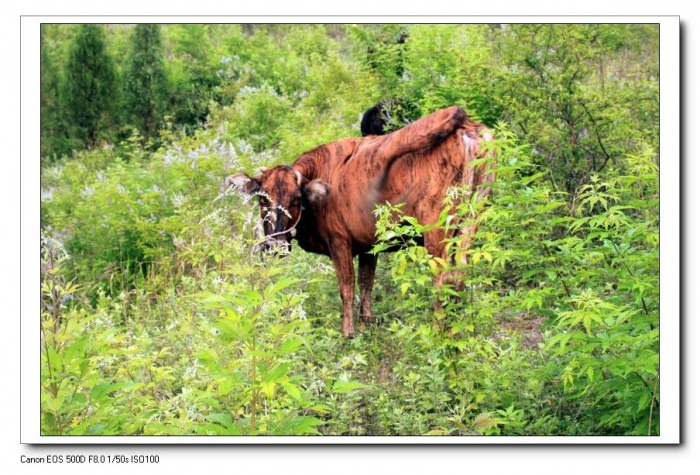 调整大小 IMG_0967.JPG