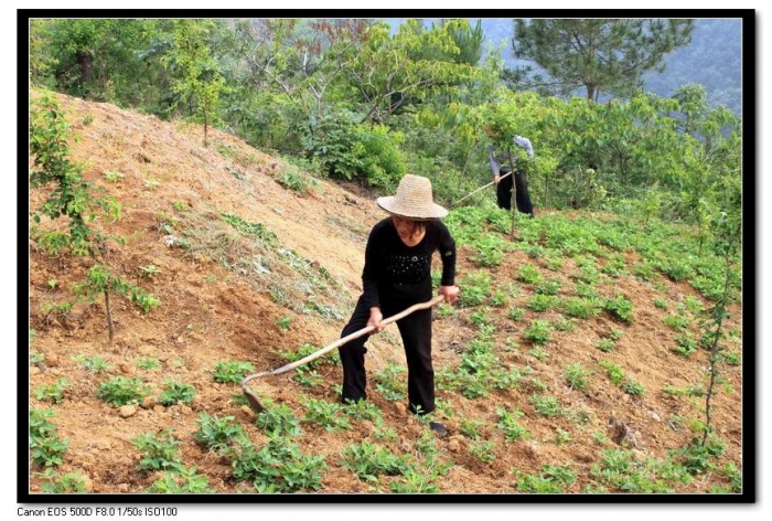 调整大小 IMG_0988.JPG