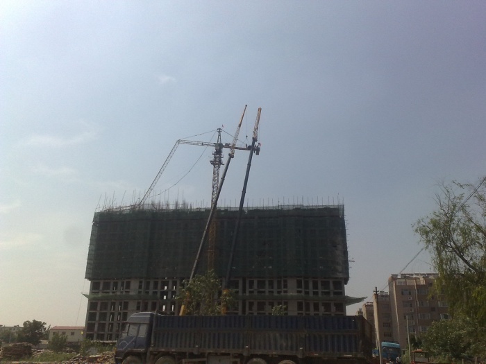 这几张是今天拍的