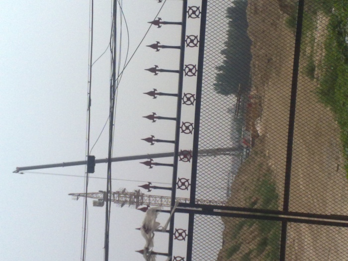 -这是前几天拍摄的了！~~