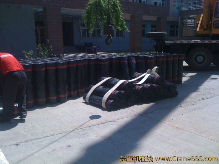 手机照片 3048.jpg