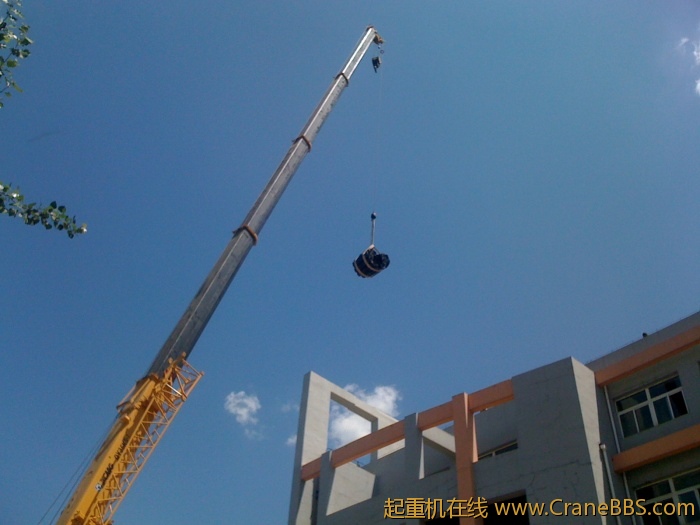 手机照片 3006.jpg