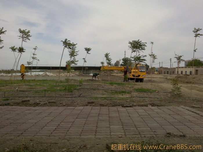 20110609104.jpg