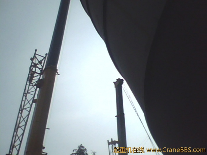 IMG0599A.jpg