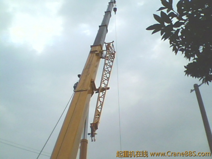IMG0615A.jpg