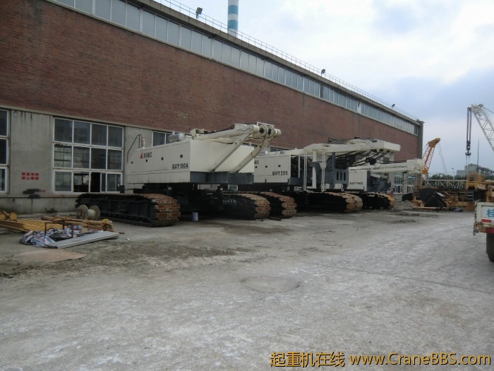 CIMG3137.JPG