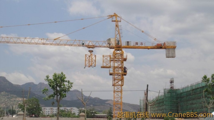 志鹏63