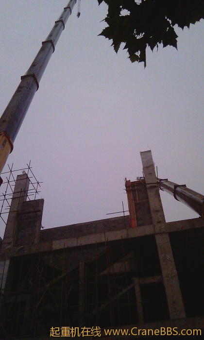 IMAG0039.jpg