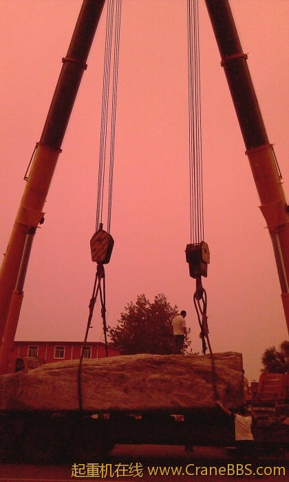 IMAG0065.jpg