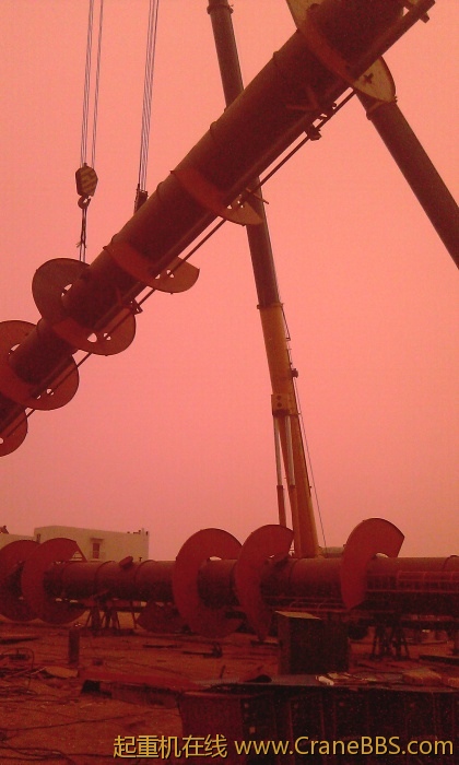IMAG0099.jpg
