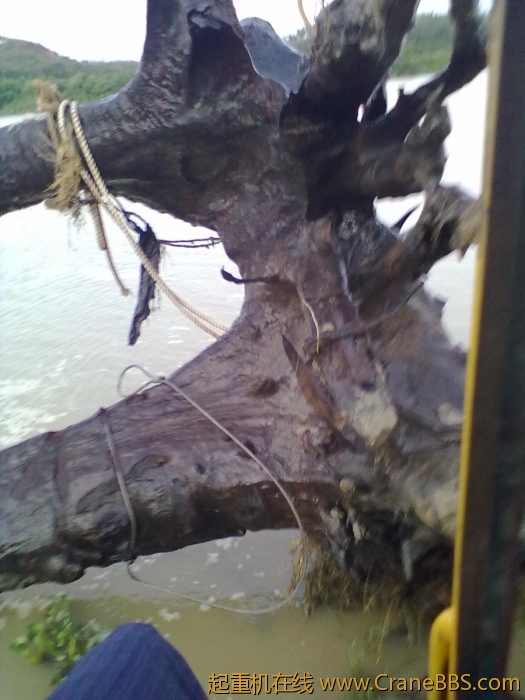 20110703492.jpg