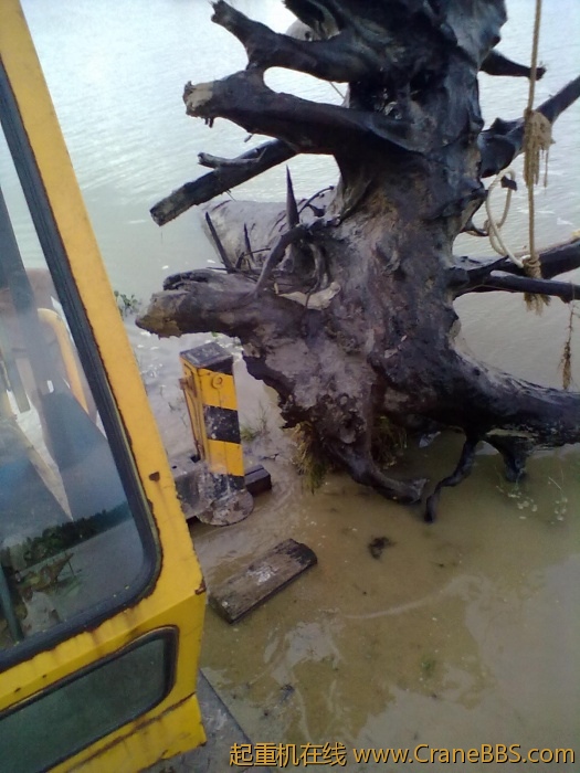 20110703493.jpg