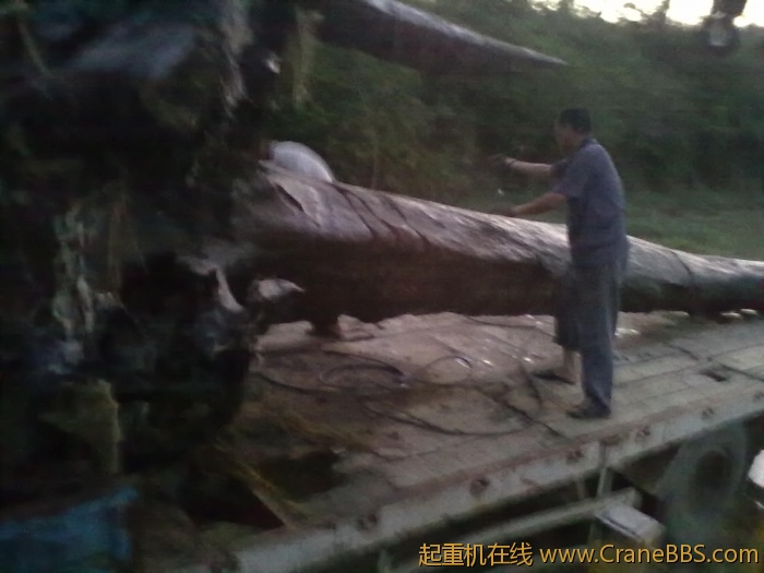 20110703495.jpg