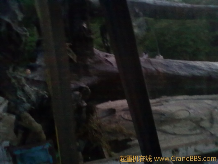 20110703496.jpg