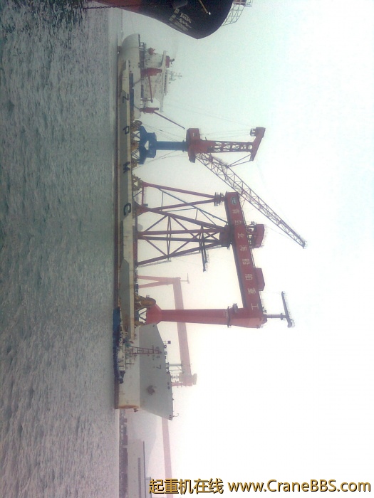 我不会翻转,SF们凑合着看看