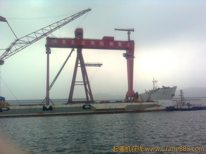 DEMAG0319.jpg