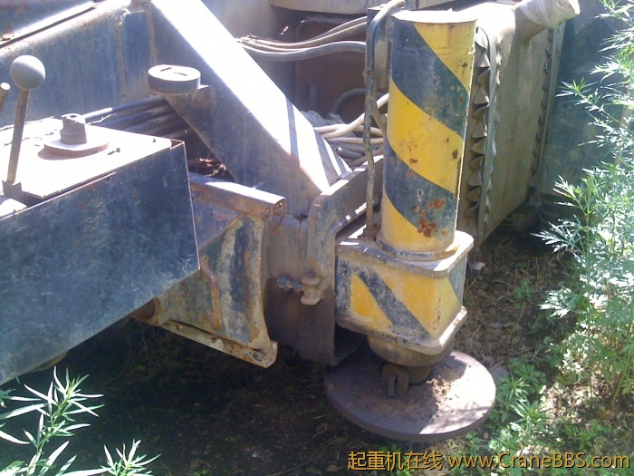 手机照片 3378.jpg