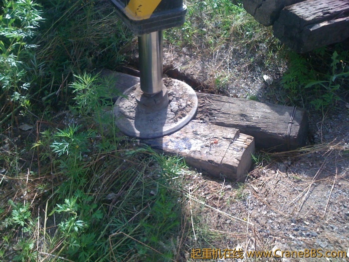 手机照片 3353.jpg