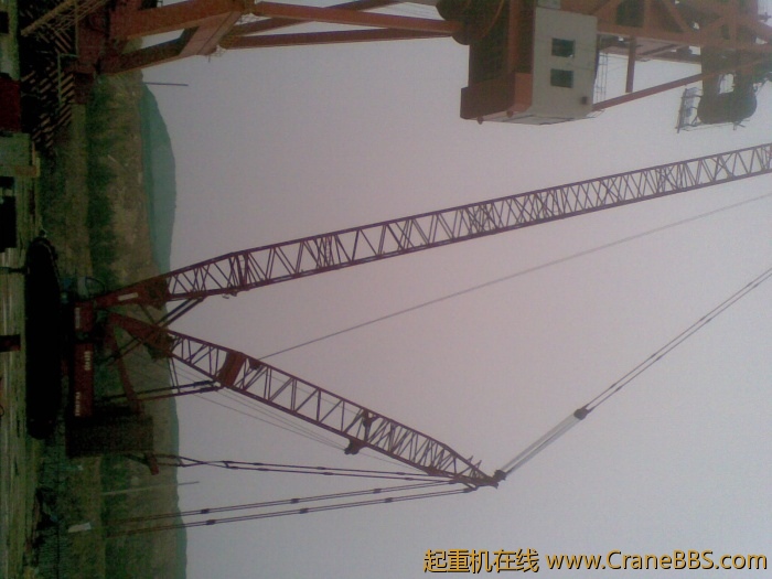 20110706.jpg