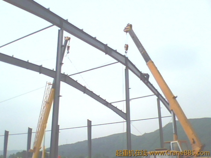 IMG0396A.jpg