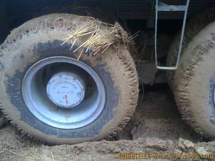 手机照片 1828.jpg