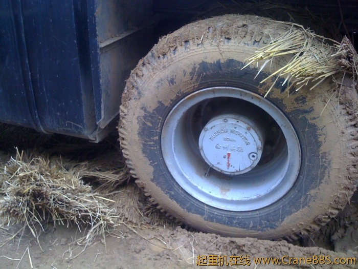 手机照片 1814.jpg