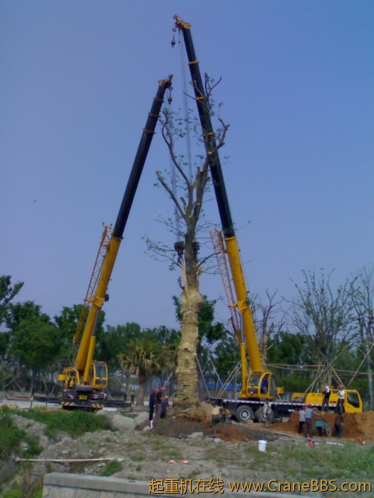 20110430052.jpg