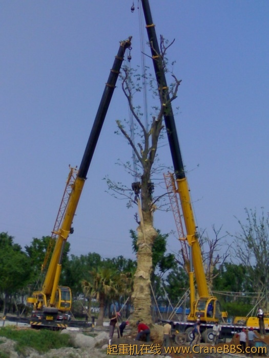 20110430053.jpg