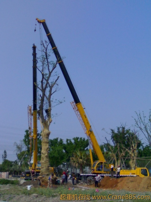 20110430054.jpg