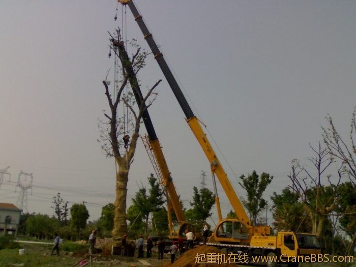 20110430055.jpg