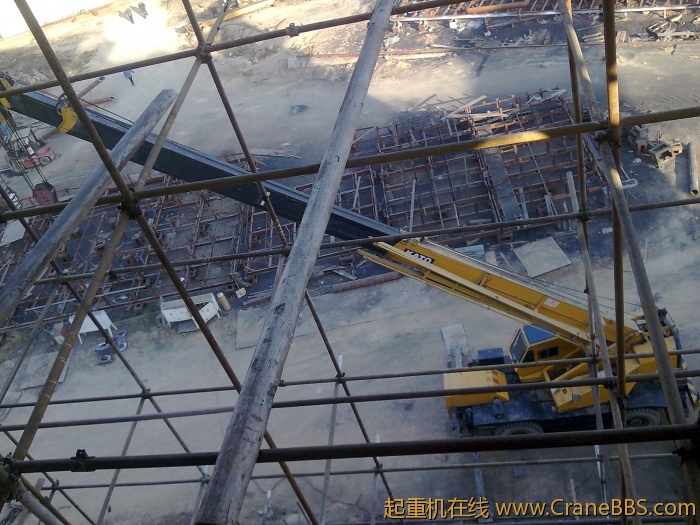 图像247.jpg