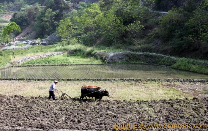 调整大小 IMG_0098.JPG