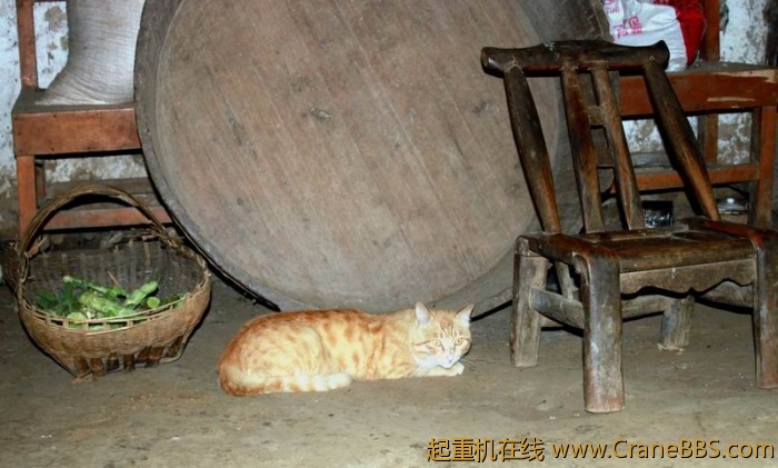 调整大小 IMG_0152.JPG