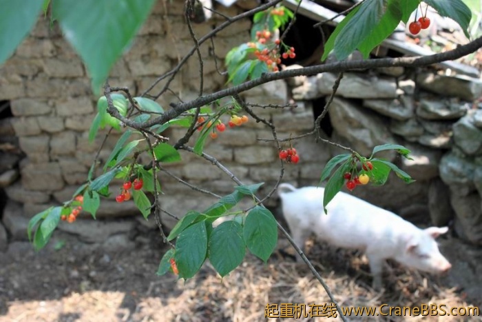 调整大小 IMG_0137.JPG