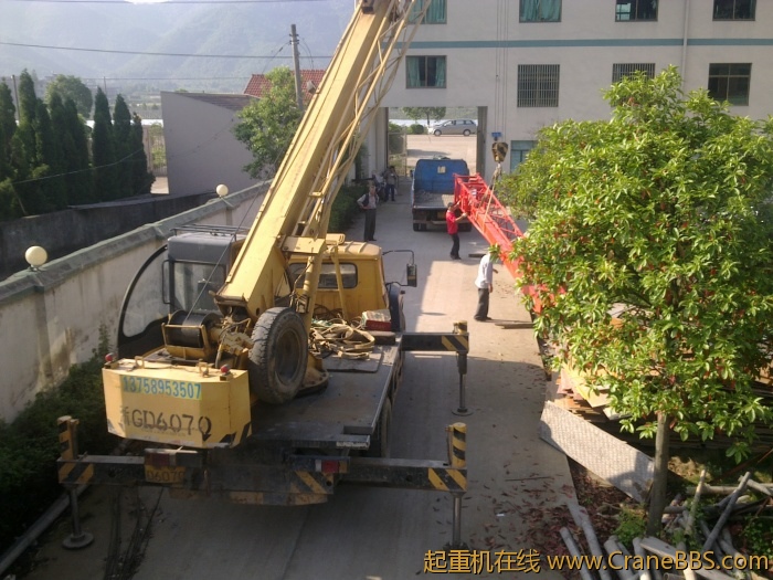 20110508767.jpg