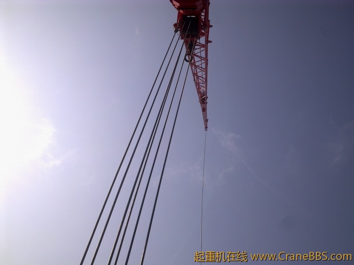 20110508771.jpg