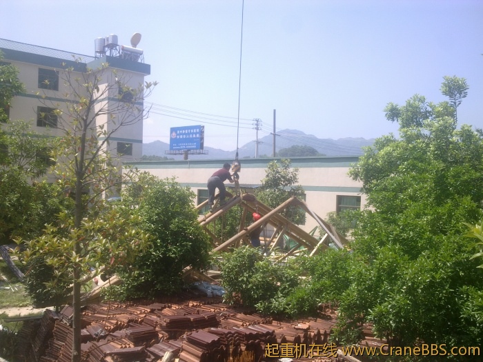 20110508775.jpg