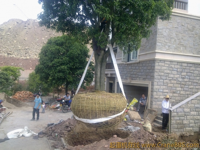 20110508782.jpg