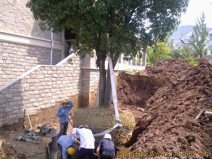 20110508786.jpg
