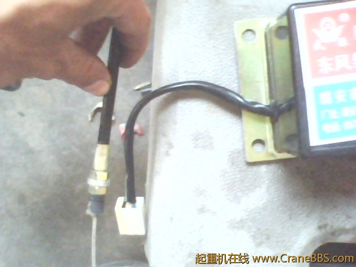 IMG0403A.jpg