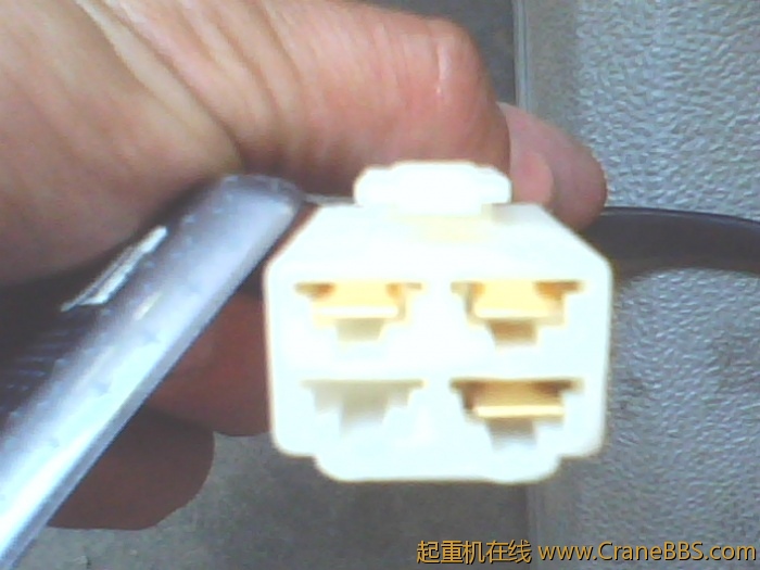 IMG0404A.jpg