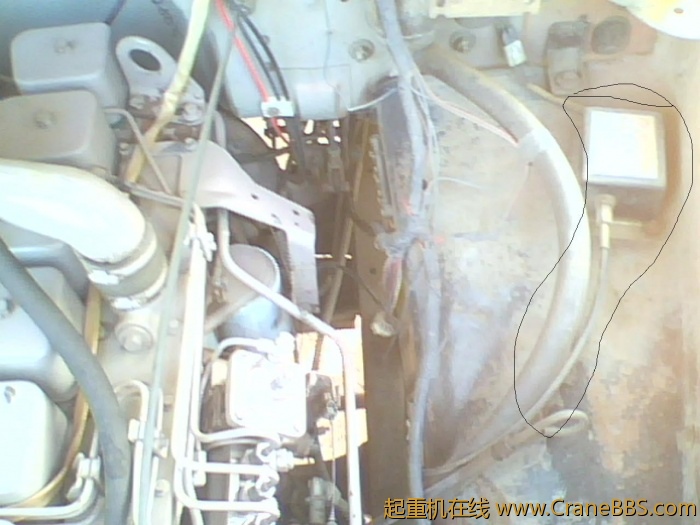 IMG0406A.jpg